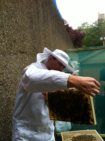 Bee man